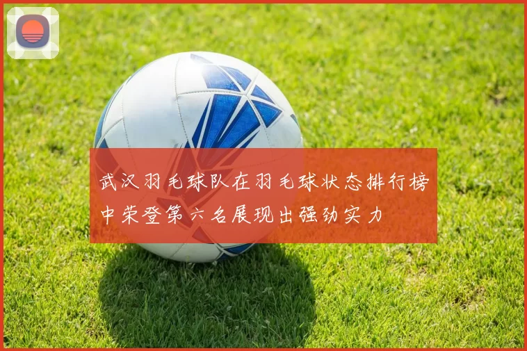 武汉羽毛球队在羽毛球状态排行榜中荣登第六名展现出强劲实力
