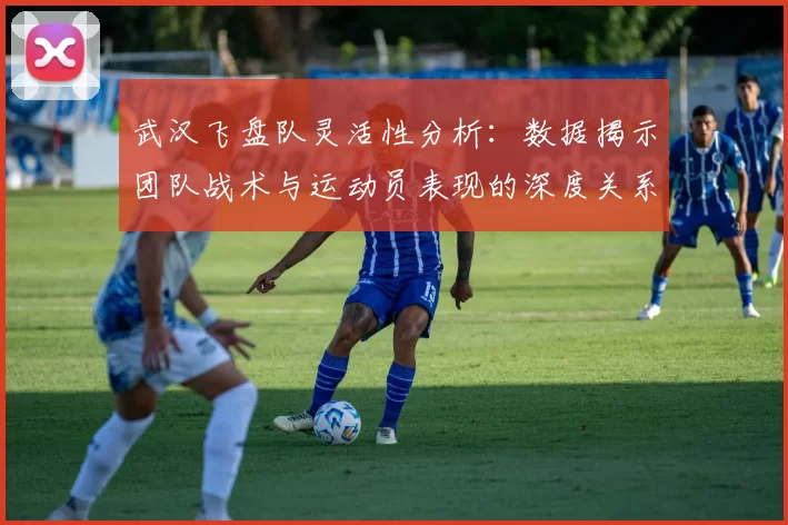 武汉飞盘队灵活性分析：数据揭示团队战术与运动员表现的深度关系