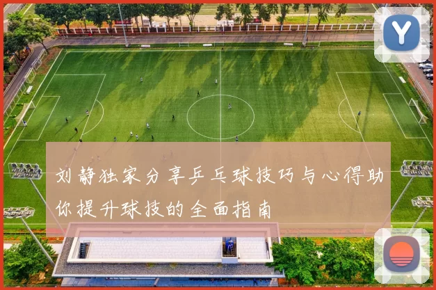 刘静独家分享乒乓球技巧与心得助你提升球技的全面指南