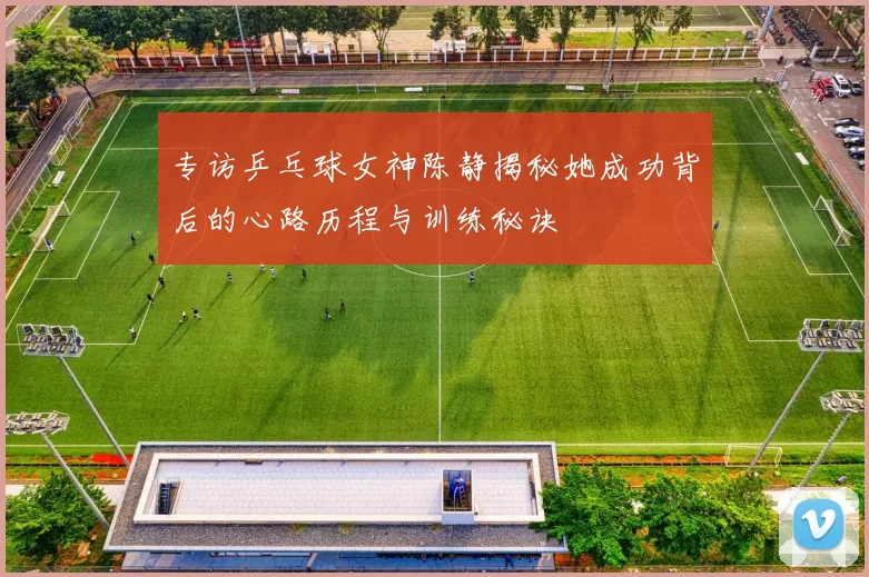 专访乒乓球女神陈静揭秘她成功背后的心路历程与训练秘诀