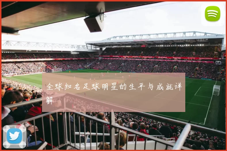 全球知名足球明星的生平与成就详解