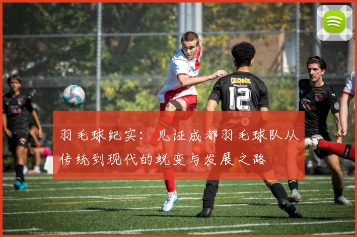 羽毛球纪实：见证成都羽毛球队从传统到现代的蜕变与发展之路