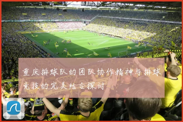 重庆排球队的团队协作精神与排球竞技的完美结合探讨