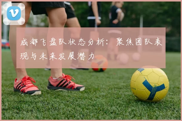 成都飞盘队状态分析：聚焦团队表现与未来发展潜力