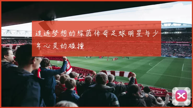 追逐梦想的绿茵传奇足球明星与少年心灵的碰撞