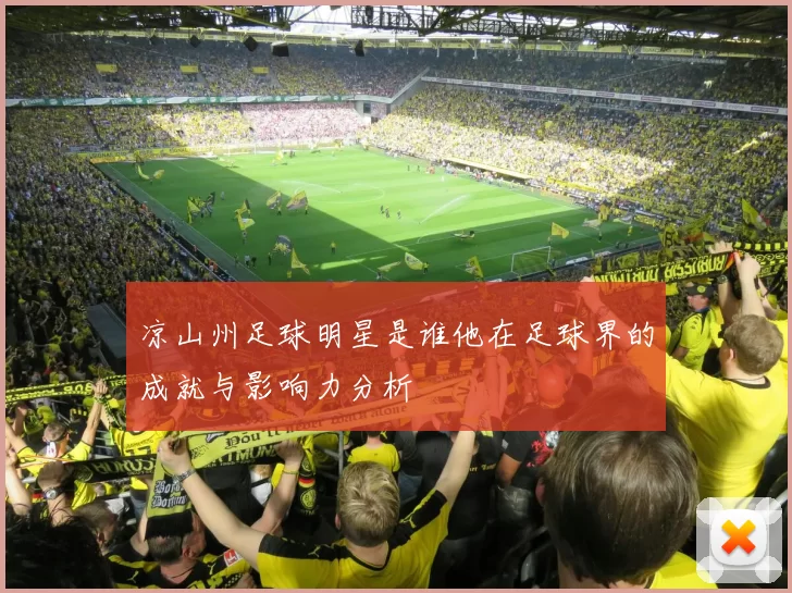 凉山州足球明星是谁他在足球界的成就与影响力分析