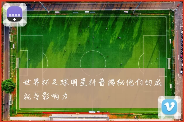 世界杯足球明星科普揭秘他们的成就与影响力