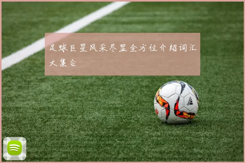 足球巨星风采尽显全方位介绍词汇大集合