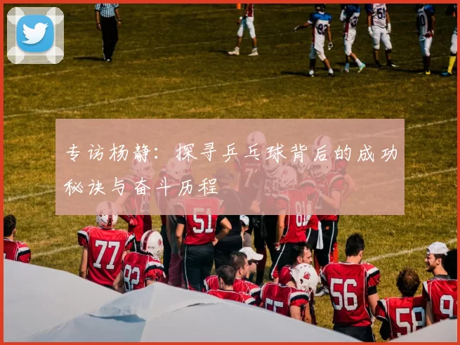 专访杨静：探寻乒乓球背后的成功秘诀与奋斗历程