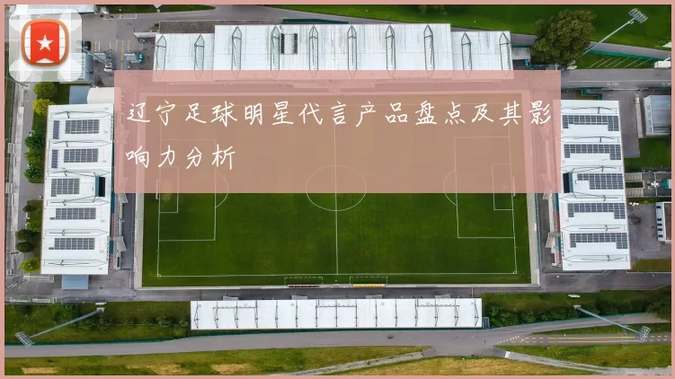 辽宁足球明星代言产品盘点及其影响力分析