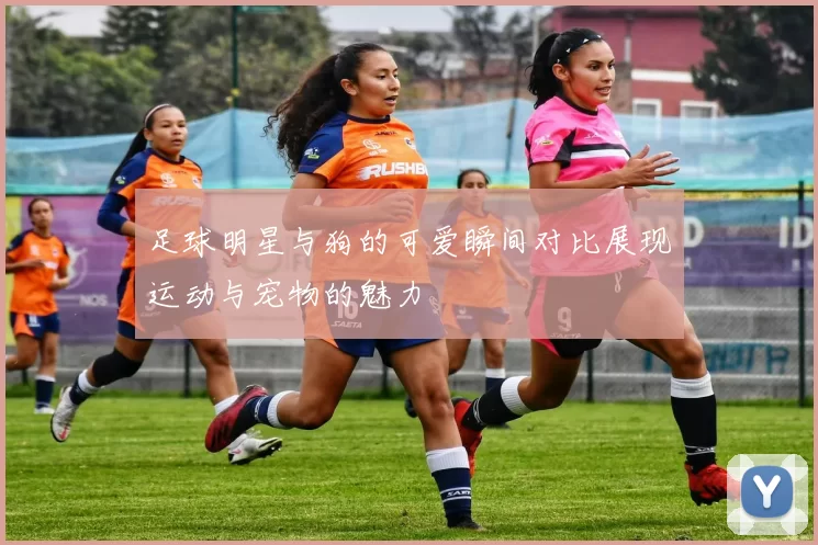 足球明星与狗的可爱瞬间对比展现运动与宠物的魅力